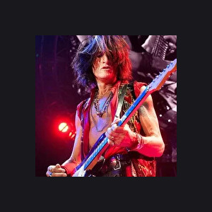 JOE PERRY